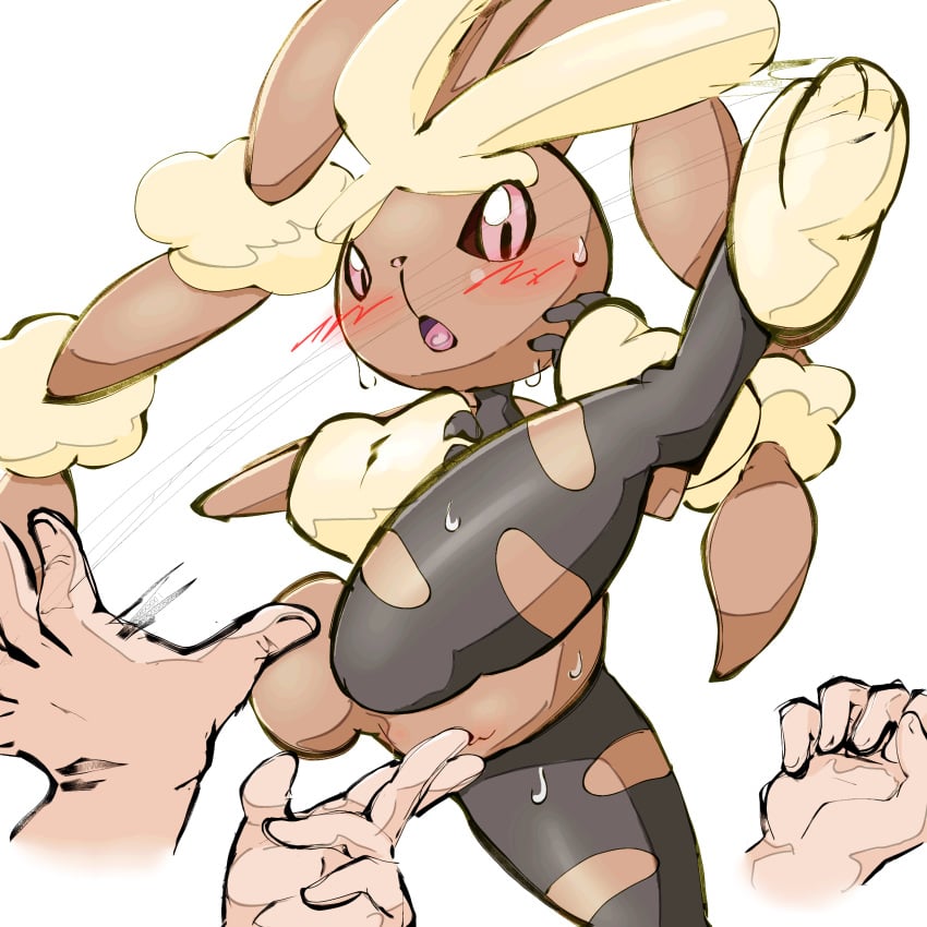 1:1 absurd_res aka_leopard anthro blush brown_body disembodied_hand duo female finger_fuck fingering generation_4_pokemon genitals hi_res human lopunny male male/female mammal nintendo pokémon_(species) pokemon pokemon_(species) pussy simple_background vaginal_penetration video_games white_background