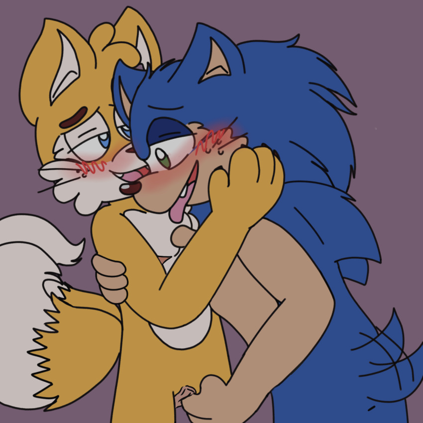 2boys cuntboy furry intersex mikomii mobian_(species) multi_tail pussy sega sonic_(series) sonic_the_hedgehog sonic_the_hedgehog_(series) tails tails_the_fox yaoi