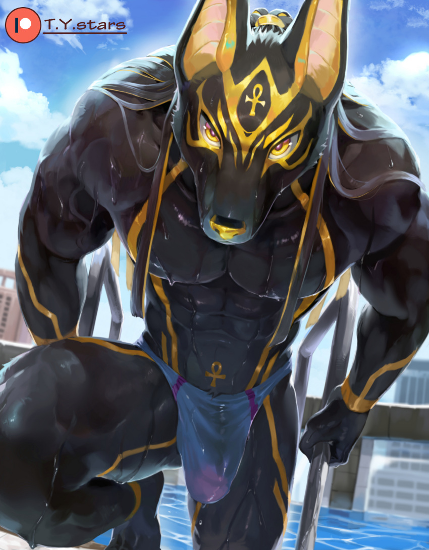 anthro anubian_jackal anubis black_body black_fur bulge canid canine canis clothing deity egyptian_mythology fur genital_outline hi_res jackal looking_at_viewer male male_only mammal middle_eastern_mythology muscular muscular_anthro muscular_male mythology penis_outline solo striped_body striped_fur stripes swimming_pool swimming_trunks swimwear t.y.stars wet wet_body wet_fur yellow_body yellow_eyes yellow_fur