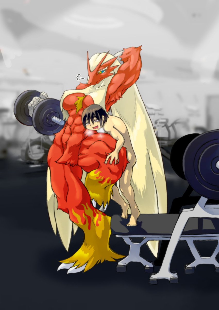 abs absurd_res anthro anthro_penetrated anthrofied armpit_tuft bench_press big_breasts blaziken blue_eyes breasts brown_eyes brown_hair chest_tuft claws detailed_background dumbbell exercise feathers female generation_3_pokemon gym hair hand_behind_head hi_res human human_on_anthro human_penetrating human_penetrating_anthro inside interspecies ketsuneko knee_sex larger_anthro larger_female larger_penetrated light-skinned_male male mammal muscular muscular_anthro muscular_female nintendo nude on_one_leg penetration photo_background pokémon_(species) pokemon pokemon_(species) pokephilia pubes red_body red_feathers sex size_difference small_waist smaller_human smaller_male standing steam thick_thighs tuft unusual_penetration video_games weightlifting weights wide_hips workout yellow_body yellow_feathers yellow_sclera