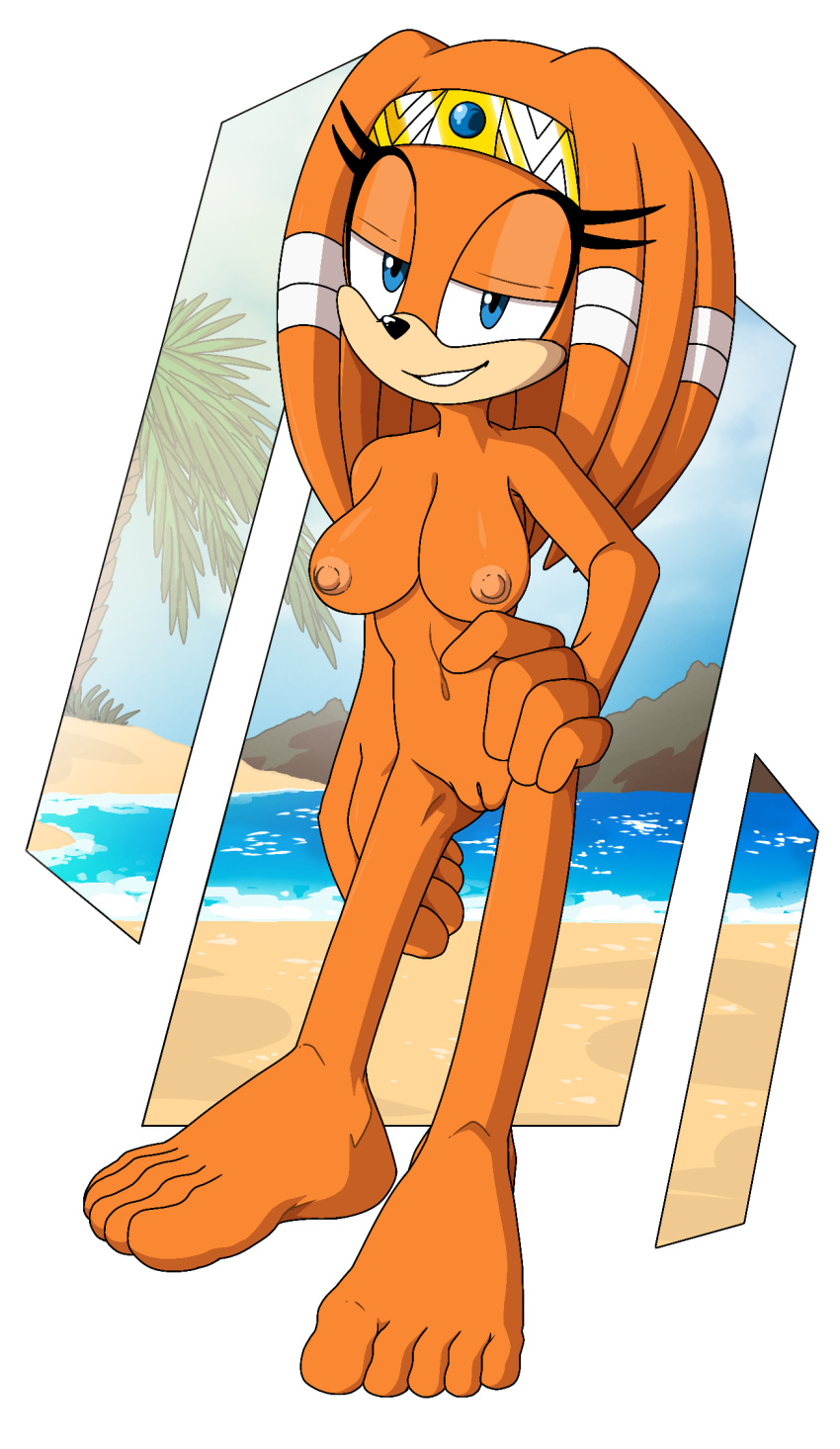 5_toes barefoot beach breasts echidna feet female foot_ninja15 genitals hi_res humanoid humanoid_feet mammal monotreme nipples no_humans nude pussy seaside sega solo sonic_(series) sonic_adventure sonic_the_hedgehog_(series) tikal_the_echidna toes