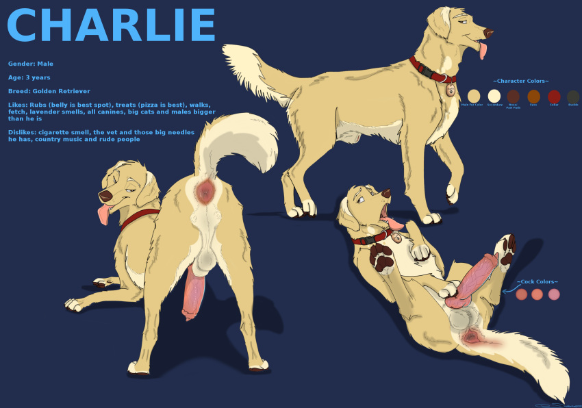 2022 all_fours animal_genitalia animal_penis anus ass ass_up balls bedroom_eyes bird_dog canid canine canine_penis canis cel_shading charlie_(eternalwolf5) collar collar_tag digital_media_(artwork) domestic_dog english_text erection feral fur genitals golden_retriever hi_res holidaypup hunting_dog knot looking_at_viewer looking_back lying male mammal model_sheet narrowed_eyes nude on_back open_mouth paws penis presenting presenting_hindquarters raised_tail rear_view retriever seductive shaded sheath simple_background solo standing text tongue tongue_out