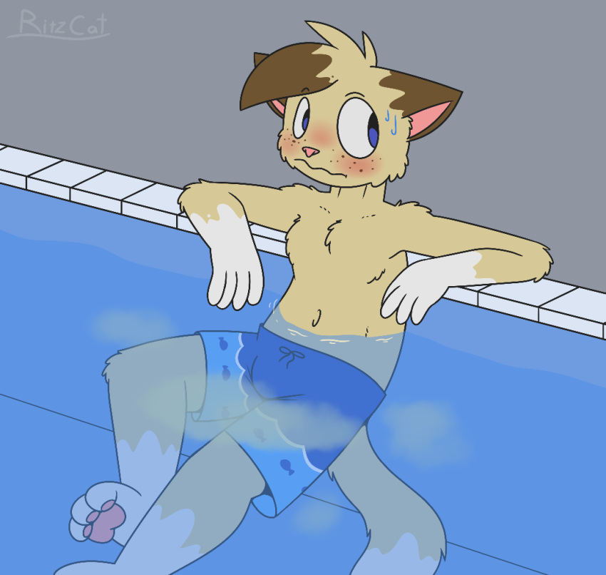 anthro bodily_fluids clothing colored genital_fluids humanoid male nervous resting_arm ritz_(ritzcat) ritzcat solo swimming_pool swimming_trunks swimwear urine water