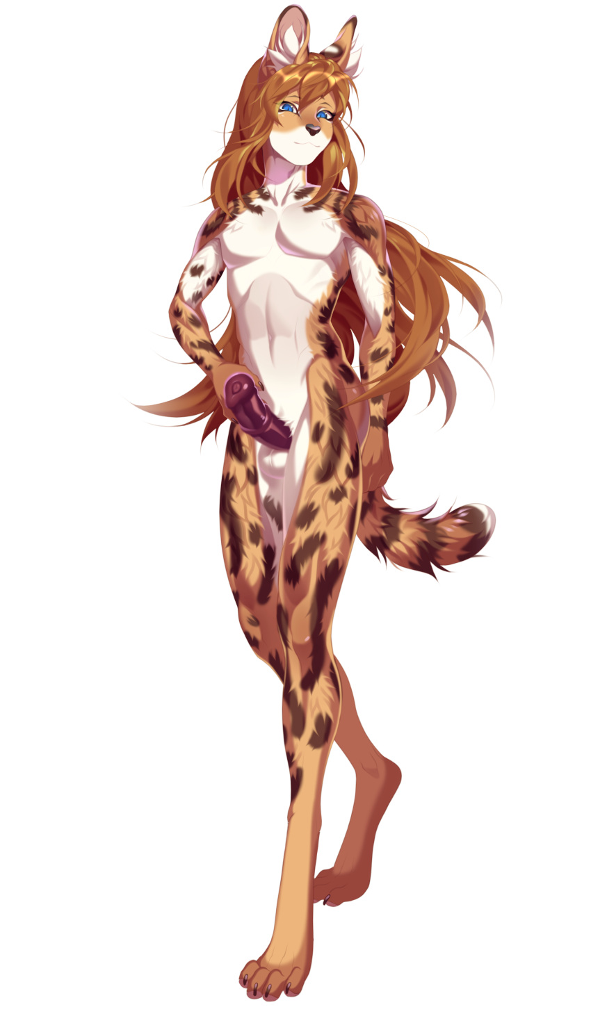 absurd_res anthro balls blue_eyes countershade_face countershade_fur countershade_torso countershading emile_(fuzzylolipop) felid feline fur genitals girly hair hi_res long_hair male mammal nude penis rokito serval simple_background solo white_background