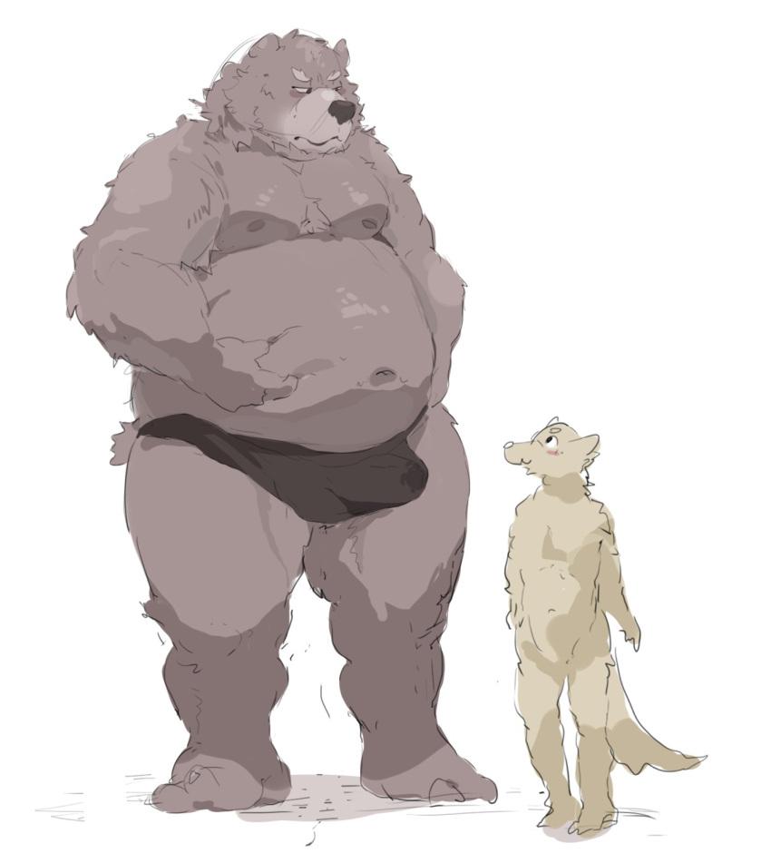 2022 anthro belly big_belly bulge canid canine clothing duo hi_res iwbsb_kuma kemono male mammal moobs navel nipples overweight overweight_male size_difference underwear ursid