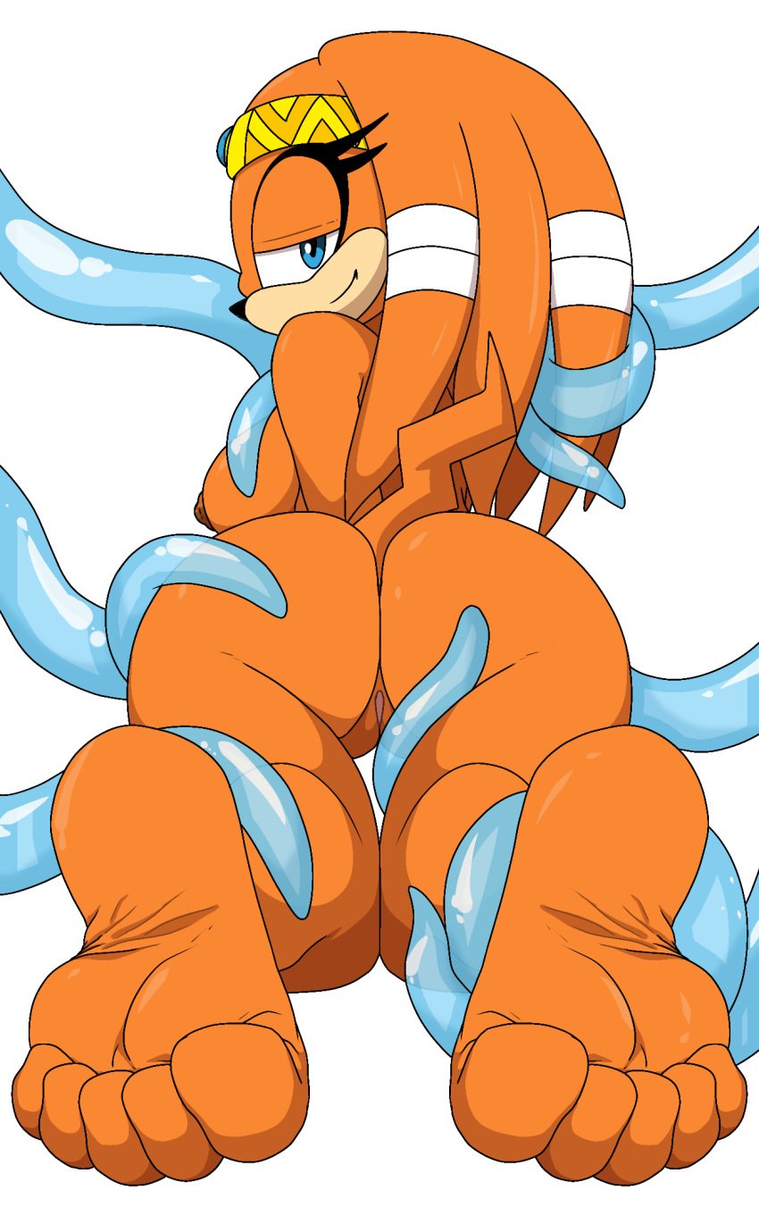 5_toes ass barefoot big_butt breasts chaos_(sonic) duo feet female foot_ninja15 genitals hi_res humanoid male male/female nipples nude pussy sega sex soles sonic_(series) sonic_adventure sonic_the_hedgehog_(series) tentacle tentacle_sex tikal_the_echidna toes