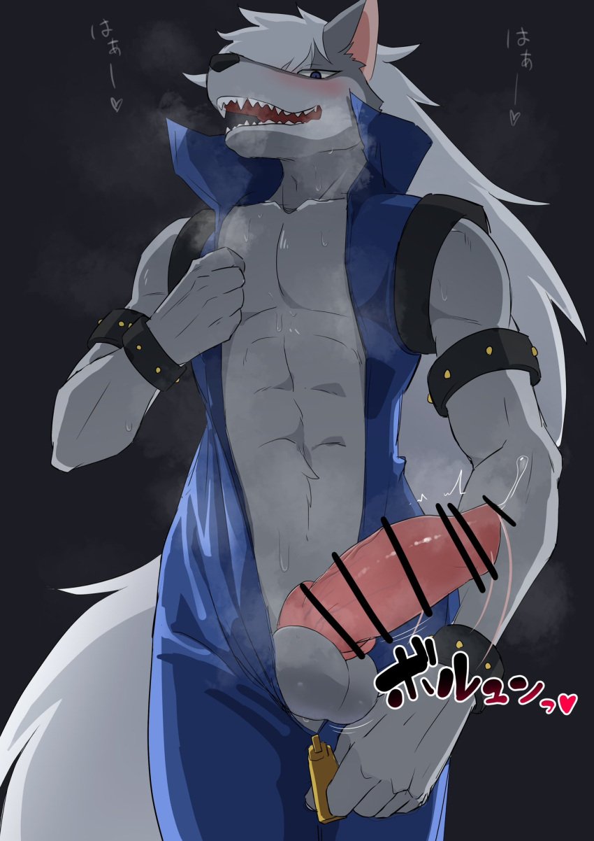 abs animal_genitalia animal_penis anthro balls blush bodily_fluids canid canine canine_penis canis censored clothing erection fur genital_fluids genitals grey_body grey_fur hair hi_res humanoid_genitalia humanoid_penis jacket male male_only mammal penis precum pretty_cure topwear white_hair wolf wolfrun zaramecatnyar