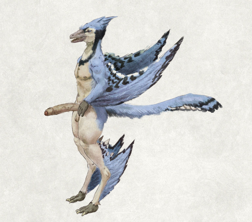 anthro avian balls beak blue_body blue_feathers erection feathered_wings feathers foreskin full-length_portrait genitals head_tuft hi_res humanoid_genitalia humanoid_penis leg_markings male markings navel nude open_mouth penis portrait simple_background socks_(marking) solo standing teeth tuft unsigned upai vein veiny_penis winged_arms wings