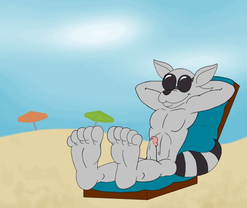 5_toes animated anthro beach darkshiner8 feet foot_fetish genitals humanoid_feet male mammal nude penis procyonid raccoon seaside sly_cooper sly_cooper_(series) soles solo sony_corporation sony_interactive_entertainment sucker_punch_productions toes video_games welcome_to_jollyville