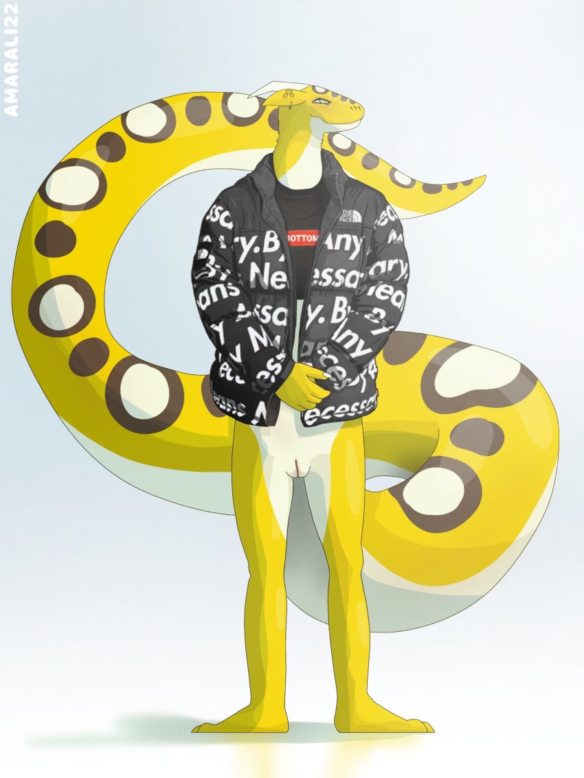 amarali_(artist) amarali_(character) andromorph anthro bottomless clothed clothing coat cuntboy fur furred_snake genitals hi_res intersex pussy reptile scalie simple_background slight_blush snake solo solo_focus supreme topwear white_body yellow_body