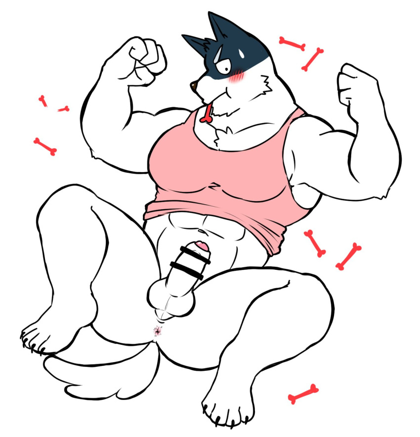 1boy 2d anthro balls bara bashira_o blush boner canine censored_penis dog_treat doggo_(undertale) domestic_dog erection flexing furry gay gay_male male male_only pantsless penis solo solo_male spread_legs tank_top tank_top_only undertale undertale_(series) video_games