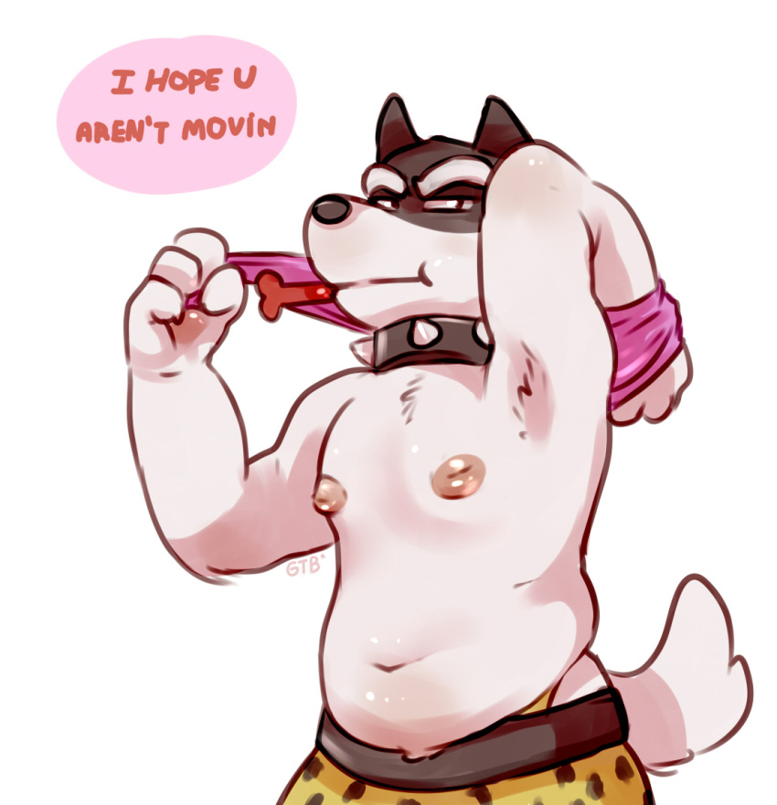 1boy 2d anthro canine collar doggo_(undertale) domestic_dog english english_text furry glitter_trap_boy male male_only royal_guard_(undertale) shirtless solo solo_male speech_bubble spiked_collar talking text undertale undertale_(series) video_games