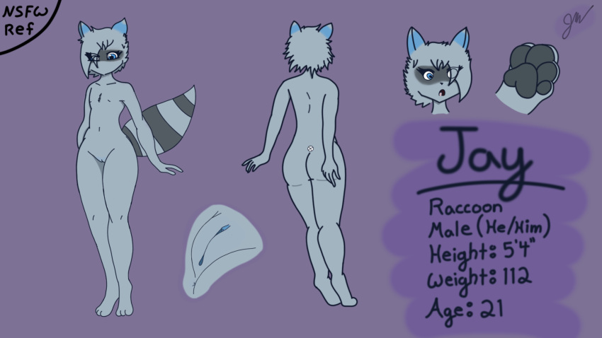 andromorph anthro blue_eyes clitoris cuntboy genitals hi_res intersex jay_(localraccoon) localraccoon male mammal model_sheet pawpads paws procyonid pussy raccoon small_waist solo thick_thighs