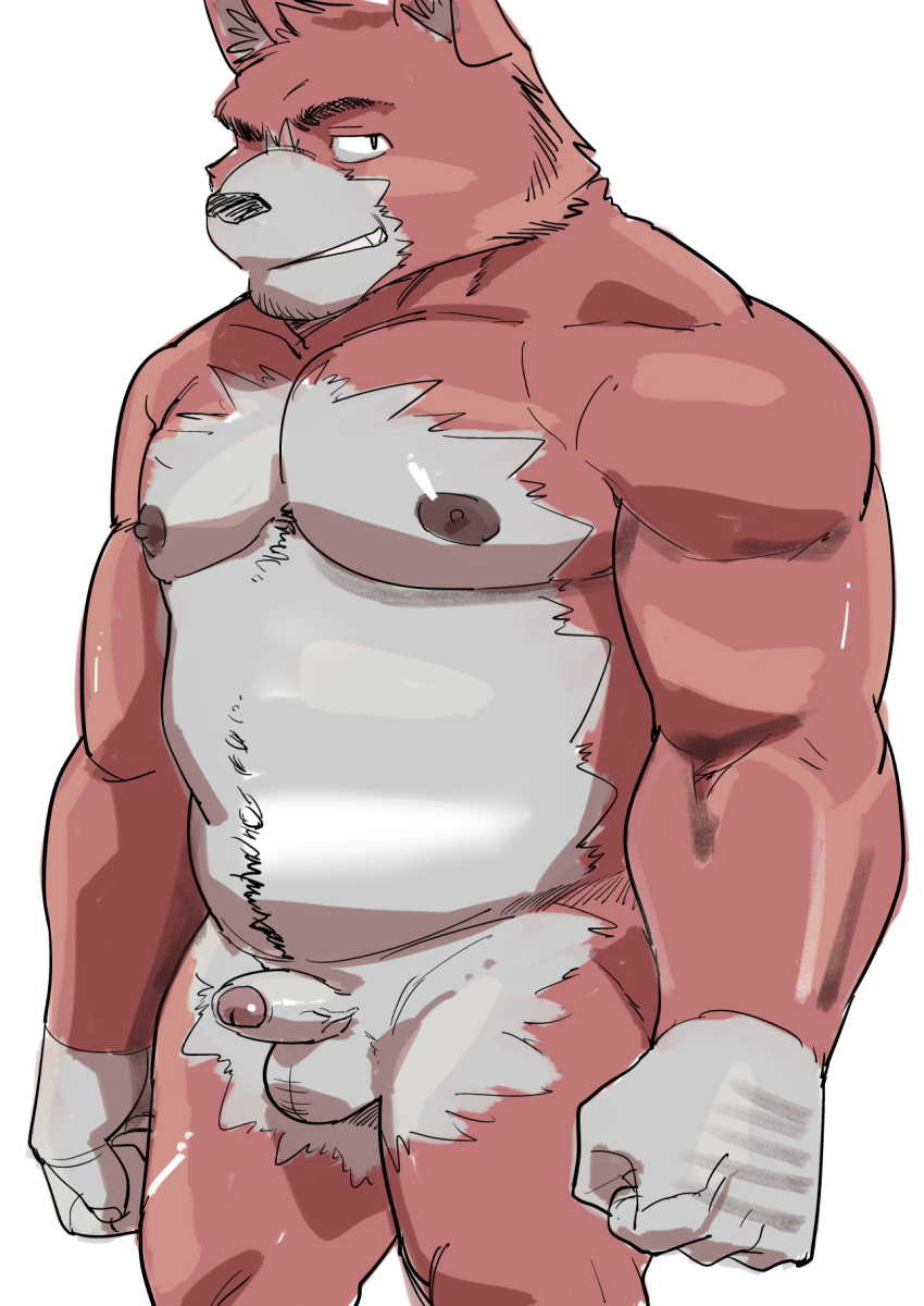 2022 anthro balls belly canid canine canis domestic_dog erection genitals hi_res humanoid_genitalia humanoid_hands humanoid_penis kemono male mammal nipples penis slightly_chubby small_penis solo solo_male ujishiyo