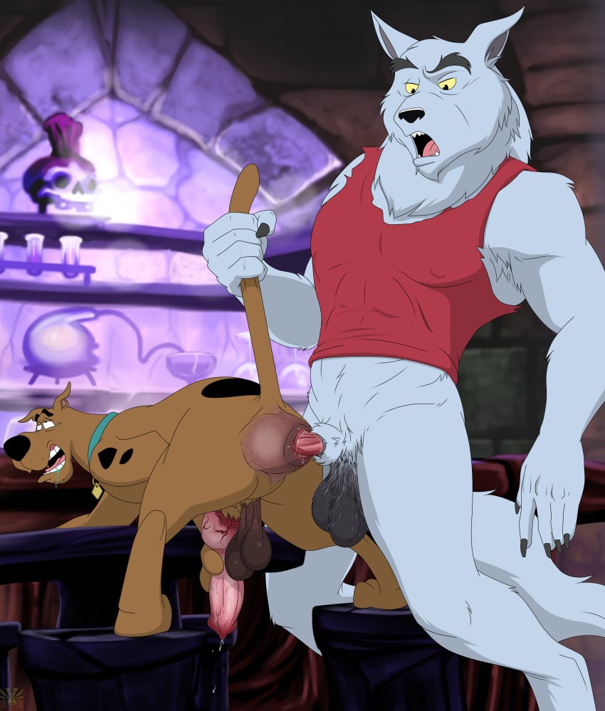 anal anal_sex anthro anthro_on_feral anus balls canine canine_penis dangerdoberman feral gay hungry_anus knot knotted male_only scooby-doo scooby-doo_(character) swollen_anus werewolf zoophilia