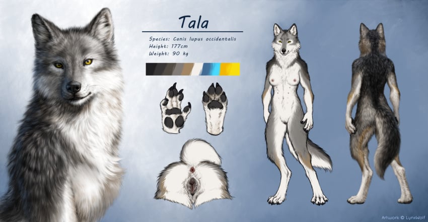 Tala (Wolfizen) Rule 34 Image
