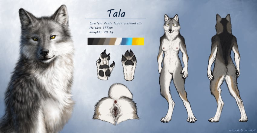 Tala (Wolfizen) Rule 34 Image