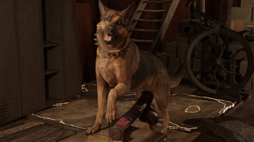 1boy 3d big_penis blender blender_(software) collar dildo dog dogmeat domestic_dog fallout fallout_4 flared_penis german_shepherd godfistart horsecock huge_balls huge_cock huge_sheath hyper hyper_penis medial_ring penis_on_table pet post-apocalyptic sagging_balls solo_focus vein veiny_penis zoophilia