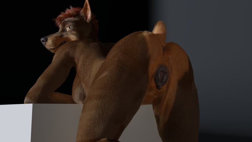 3d_(artwork) absurd_res anatomically_correct animal_genitalia animal_pussy anthro anus ass black_anus black_pussy brown_body canid canine canine_pussy canis digital_media_(artwork) dobermann_(untied_verbeger) domestic_dog female genitals hair hi_res looking_at_viewer looking_back mammal nude pinscher presenting presenting_hindquarters pussy racf92 rogue621 short_hair short_tail simple_background solo solo_focus untied_verbeger wallpaper_worthy