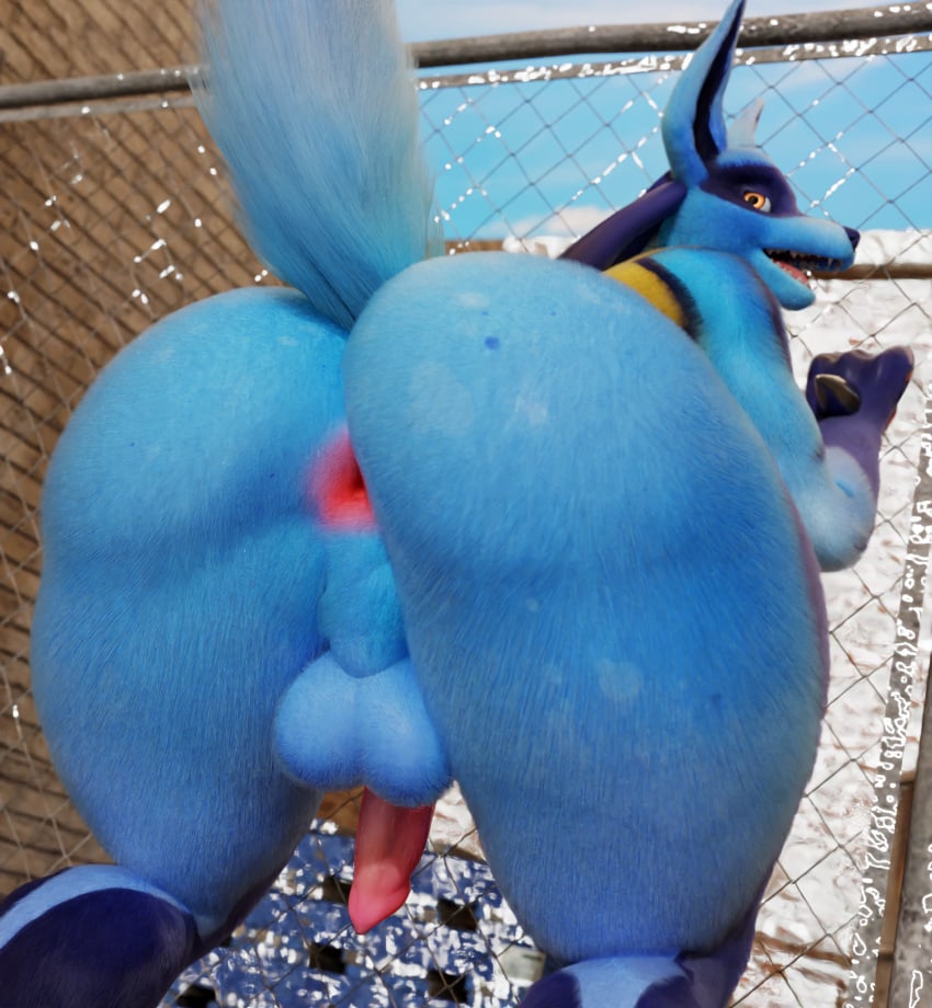 2022 3d 3d_(artwork) against_fence against_surface alley animal_genitalia animal_penis anthro anus ass backsack balls bent_over big_butt billynr black_body black_fur black_inner_ear black_nose black_pupils blue_balls blue_body blue_fur blue_perineum bottom_heavy brick_wall canid canine_penis digital_media_(artwork) facial_markings fence fluffy fur generation_4_pokemon genitals gloves_(marking) head_markings hi_res looking_at_viewer looking_back lucario male male_only mammal markings mask_(marking) nintendo nude open_mouth penis perineum pink_penis pokémon_(species) pokemon pokemon_(species) presenting presenting_hindquarters pupils purple_body purple_fur red_anus sharp_teeth solo solo_male teeth thick_thighs video_games wall_(structure) yellow_body yellow_eyes yellow_fur