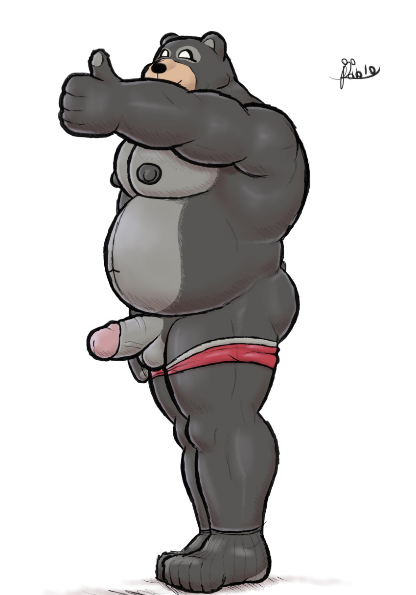 absurd_res alanottaviano anthro barazoku bear belly black_bear black_body black_fur bulge fur genitals hi_res male mammal musclegut muscular muscular_male overweight overweight_male penis solo ursid ursine