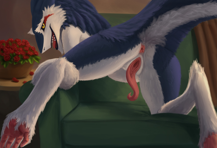 anthro anus ass blue_body blue_fur clitoral_hood feet female flower fur furniture genitals hi_res komahu looking_at_viewer mammal nude plant prehensile_clitoral_hood presenting presenting_anus presenting_pussy pussy rain_silves sergal smile solo spread_legs spreading yellow_eyes