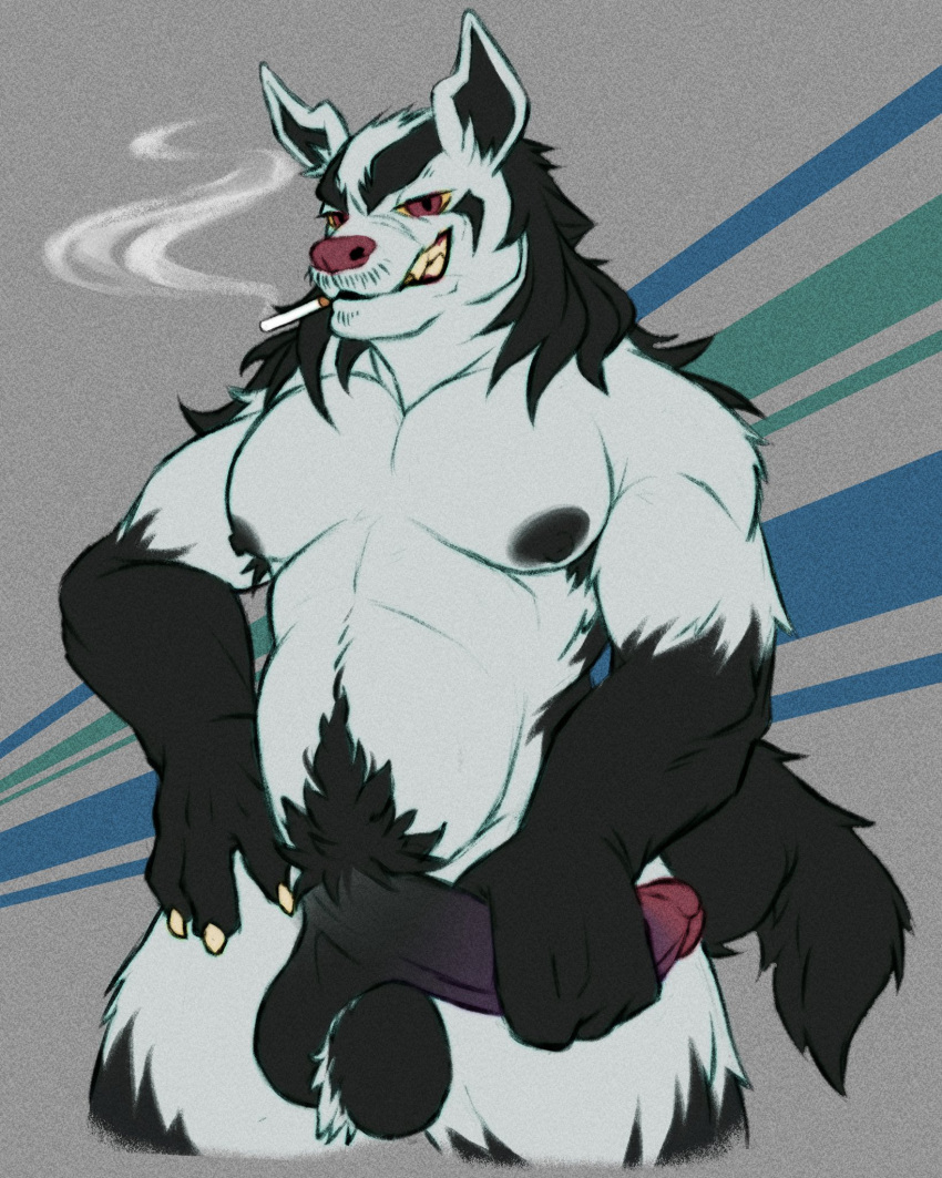 anthro ball_tuft balls bara black_body black_fur black_nipples cigarette claws finger_claws fur generation_3_pokemon genitals grey_body grin hi_res looking_at_viewer male mightyena mithgarx nintendo nipples pecs penis penis_grab pokémon_(species) pokemon pokemon_(species) pubes red_eyes smile smoke solo tuft video_games