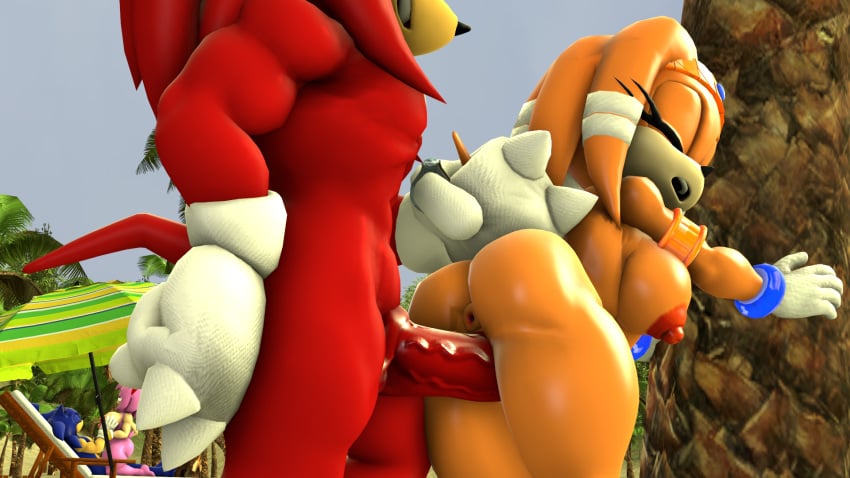 3d 3d_(artwork) 3d_model amy_rose amy_rose_(kabalmystic) artist_request beach female kabalmystic knuckles_the_echidna knuckles_the_echidna_(kabalmystic) male mobian mobian_(species) mobian_echidna sega sonic_(series) sonic_adventure sonic_the_hedgehog sonic_the_hedgehog_(kabalmystic) sonic_the_hedgehog_(series) source_filmmaker tagme tikal_the_echidna tikal_the_echidna_(kabalmystic)