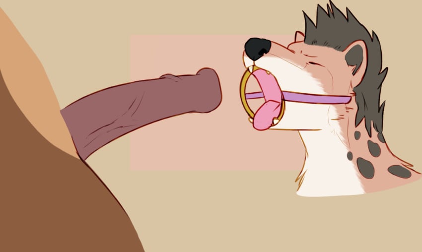 anthro bear big_penis brown_bear disembodied_penis duo female gag gagged genitals grizzly_bear hair hyaenid hyena kuruk_(character) male male/female mammal mane mane_hair penis ring_gag spotted_hyena thehuskydragon tongue tongue_out ursid ursine