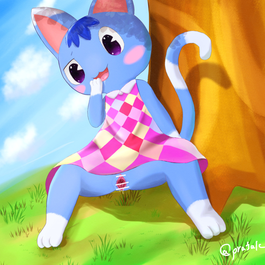 animal_crossing anthro blue_body censored day domestic_cat felid feline felis female genitals hi_res mammal nintendo outside prafalc purple_eyes pussy rosie_(animal_crossing) solo spread_legs spreading video_games