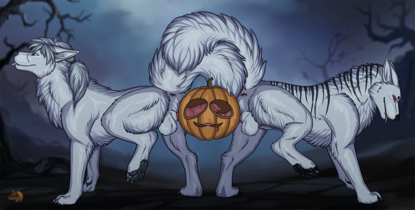 anatomically_correct anus balls canid canine canis dirty.paws duo feral food fridaflame frottage fruit fucking_pumpkin genitals halloween hi_res holidays knot knotting male male/male mammal penetration penis plant pumpkin pumpkin_fucking pumpkin_masturbation sex wolf