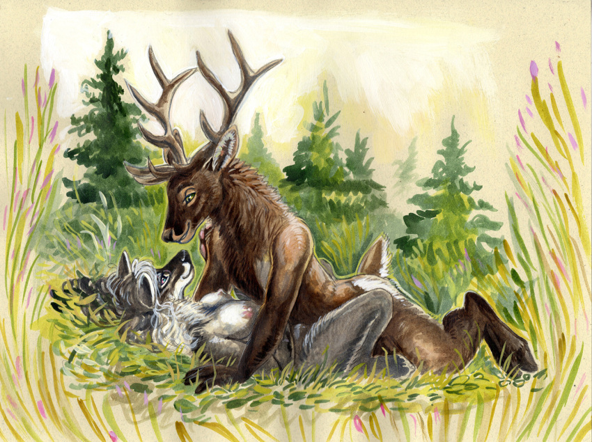 anthro antlers breasts brown_body brown_fur cadmiumtea canid canine canis cervid cervine deer duo elk female female_on_bottom from_front_position fur grass grey_body grey_fur hair happy happy_sex hooves horn interspecies looking_at_another lying male male/female male_on_top mammal missionary_position nipples on_back on_bottom on_ground on_top outside plant predator/prey romantic romantic_couple sex short_tail smile traditional_media_(artwork) tree white_hair wolf