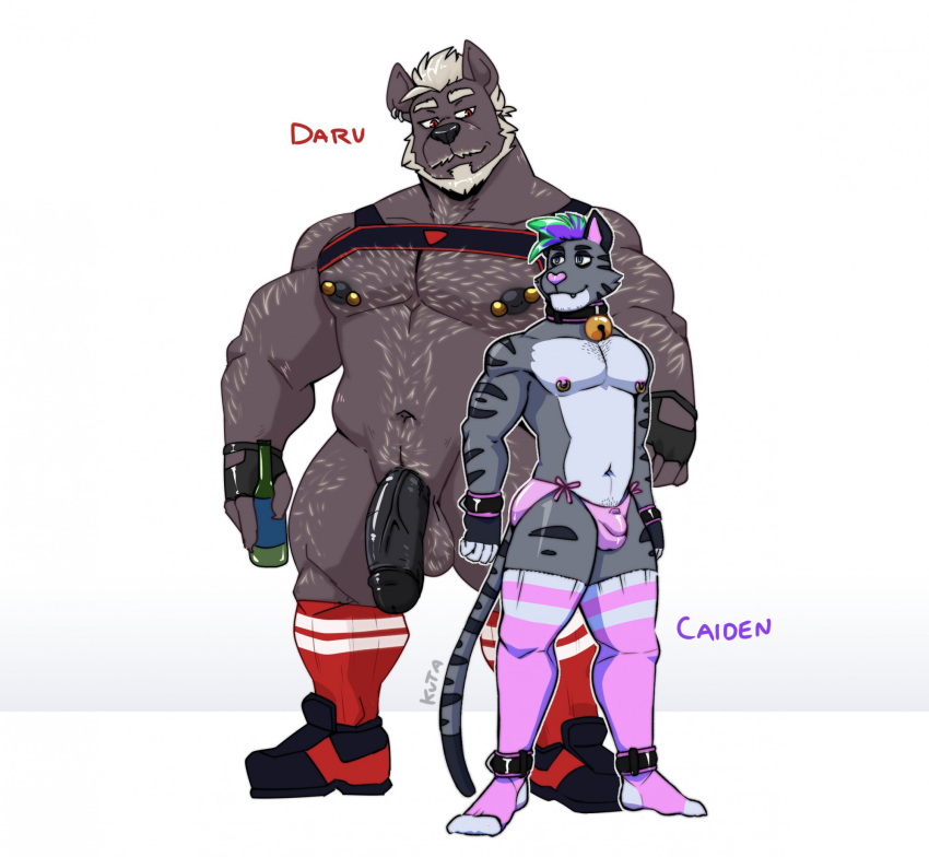 2022 2boys abs ankle_cuffs anthro arm_hair balls ballsack barbell_piercing beard bell bell_collar beverage big_penis black_penis body_hair boots boots_only chest_hair clothing collar cuff_(restraint) daru_(outcast-stars) domestic_cat duo ear_piercing eye_contact facial_hair felid feline felis fingerless_gloves flaccid_penis footwear footwear_only foreskin foreskin_folds genitals gloves hairy_balls handwear happy_trail harness hi_res holding_beverage holding_object humanoid_penis hyenid_(species) intact leather leather_harness leg_hair looking_at_another male male/male male_nipples male_only mammal manly mature_male mostly_nude mostly_nude_male muscles muscular_male mustache navel nipple_piercing nipple_rings outcast-stars pecs penis piercing pink_clothing pink_footwear pink_socks pink_thong pink_underwear pubes red_clothing red_footwear red_socks restraints retracted_foreskin scrotum shoulder_hair simple_background size_difference socks standing tail testicles thong uncut underwear vein veiny_penis white_background white_hair