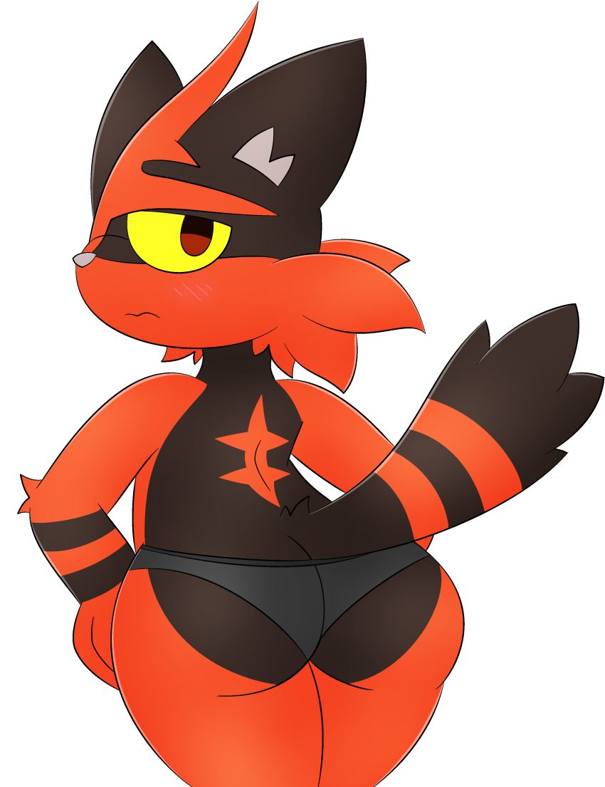 ass blush butt domestic_cat feline generation_7_pokemon male male_only non-human pokemon torracat transparent_background underwear zinzoa