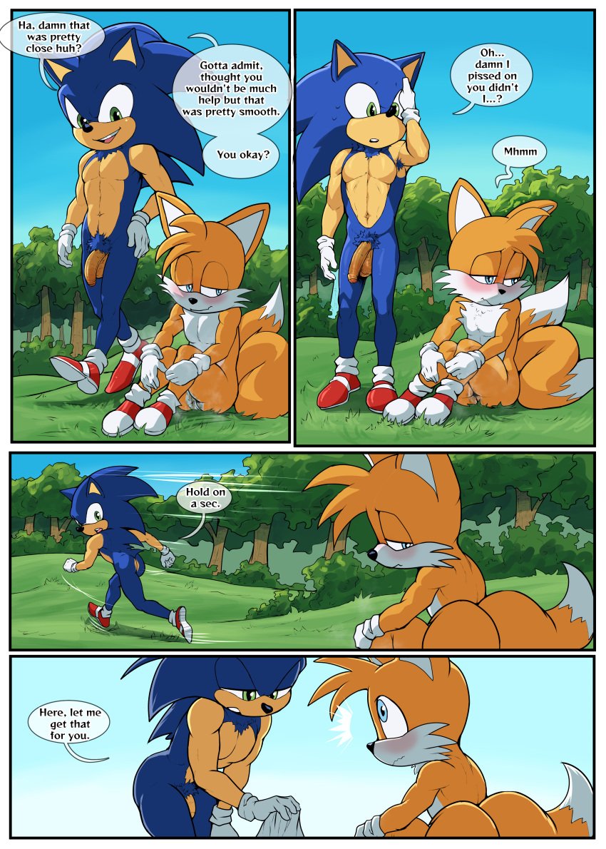 absurd_res bodily_fluids canid canine casual casual_nudity duo embarrassed eulipotyphlan exposed_torso footwear forest fox genital_fluids handwear hedgehog hi_res kokobiel male male/male male_only mammal markings nature nude peeing penis plant sega sonic_(series) sonic_the_hedgehog sonic_the_hedgehog_(series) tails tree urine watersports