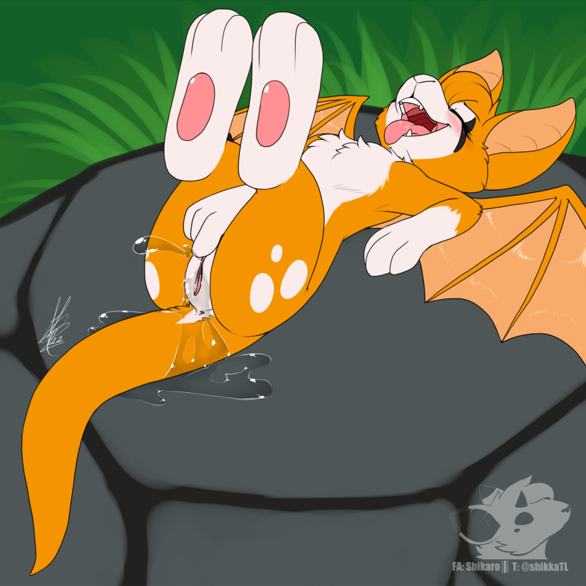 anthro anus bat_(species) blush bodily_fluids chest_tuft closed_eyes dust:_an_elysian_tail ejaculation eyelashes female fidget_(elysian_tail) fluffy_chest fur genital_fluids genitals grass hi_res lying mammal masturbation nimbat on_back open_mouth orange_body orange_fur orgasm outside pawpads paws plant pussy pussy_ejaculation pussy_juice rock shikaro solo teeth tongue tongue_out tuft video_games white_body white_fur wings