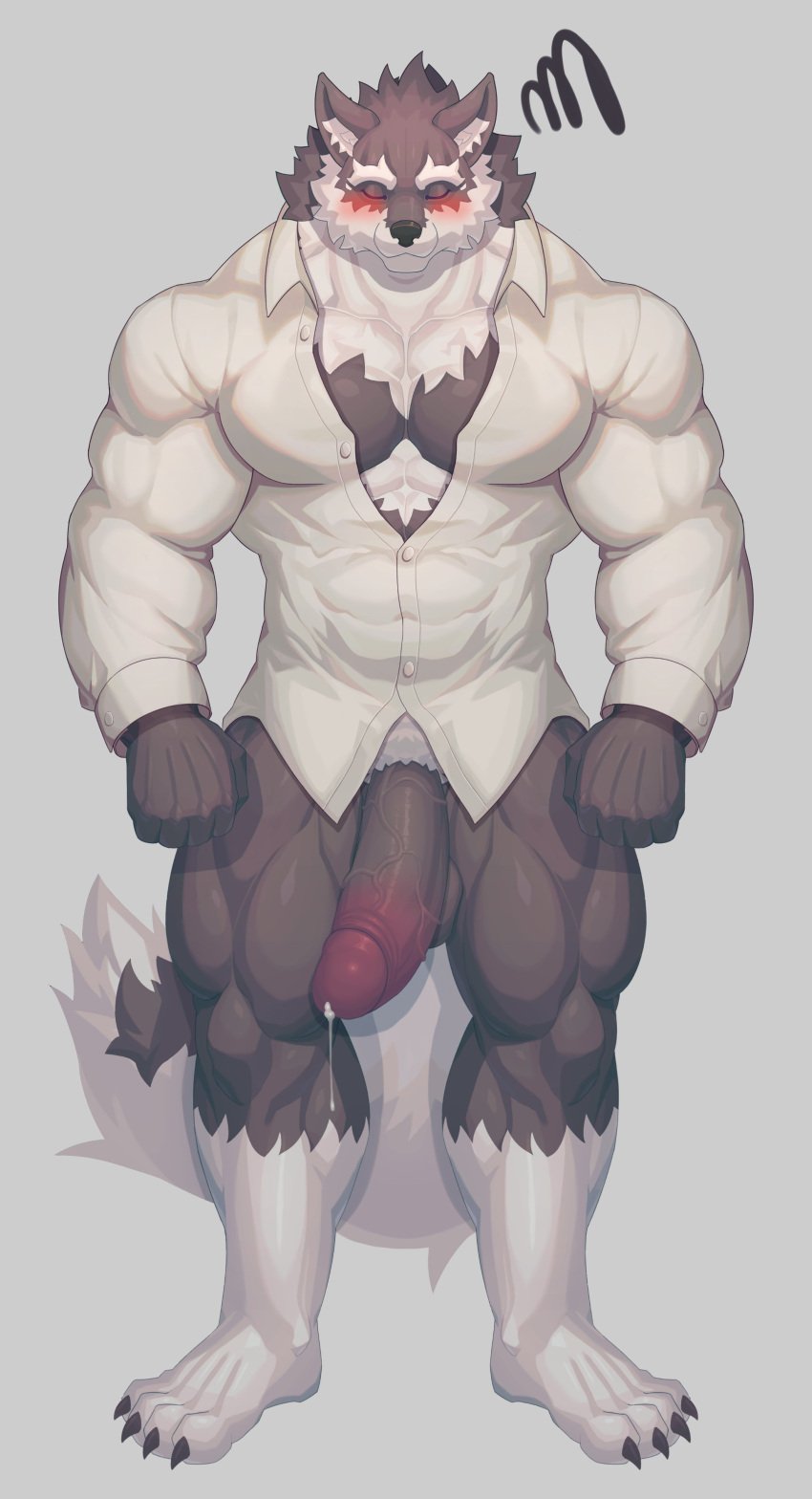 absurd_res anthro balls big_penis blush bodily_fluids bottomless canid canine closed_eyes clothed clothing dress_shirt emanata erection fluffy fluffy_tail fur genital_fluids genitals grey_body grey_fur hi_res humanoid_genitalia humanoid_penis inner_ear_fluff leg_markings male male_only mammal markings muscular muscular_anthro muscular_male penis precum pubes ronci shirt socks_(marking) solo tenting tight_clothing topwear tuft vein veiny_penis were werecanid werecanine werewolf white_body white_fur