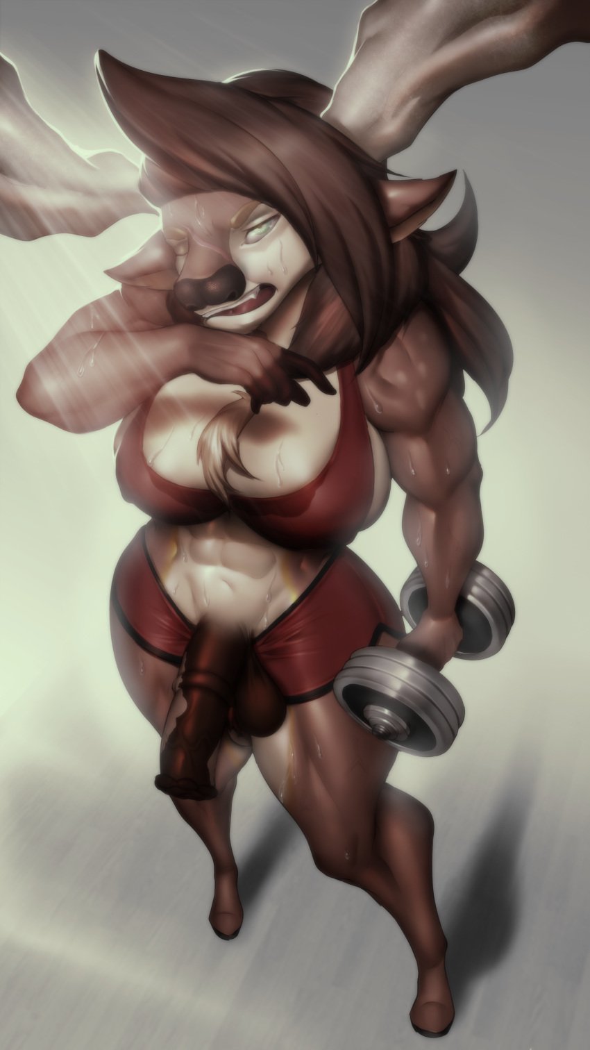 1futa anthro antlers big_breasts big_penis breasts clothed clothing furry futa_only futanari high-angle_view huge_cock lifting_weights moose mostly_clothed muscles oogui_art penis solo sweat terra_jane workout