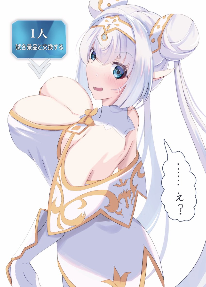 britomart_(fate) fate/grand_order fate_(series) female grey_hair hair_bun large_breasts long_hair pointy_ears twintails very_long_hair