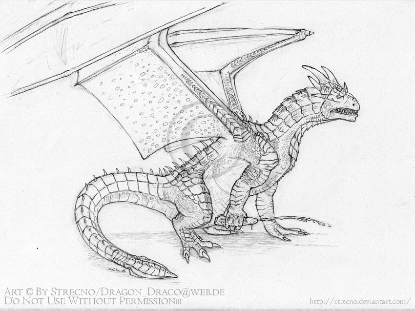 cum draco dragon dragonheart feral male male_only masturbation monochrome nude penis side_view solo strecno tagme