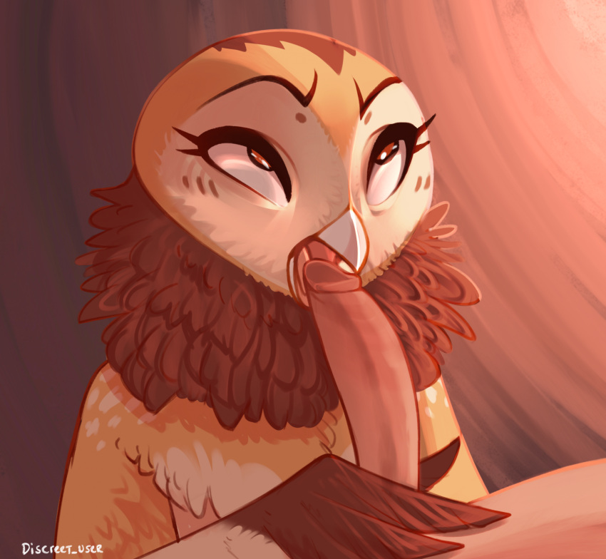 ambiguous_gender anthro avian beak bird blowjob discreet_user duo feathers fellatio genitals hi_res human human_on_anthro humanoid_genitalia humanoid_penis interspecies male mammal masked_owl oral owl penis tytonid