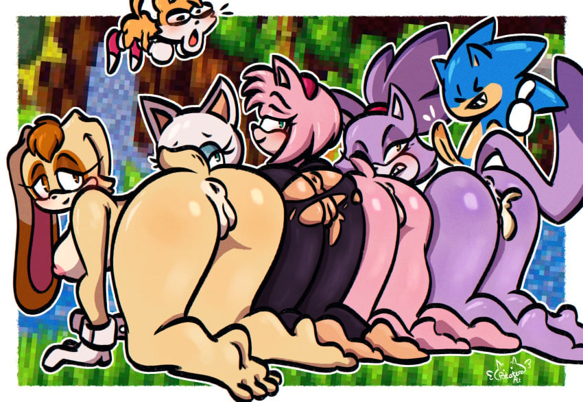 2boys 4girls amy_rose anthro anus ass bat blaze_the_cat canid canine clothing cum cum_in_pussy eulipotyphlan felid feline female fox group harem hedgehog hi_res lagomorph leporid male male/female mammal medium_breasts patatero69 rabbit rouge_the_bat sega sonic_(series) sonic_the_hedgehog sonic_the_hedgehog_(series) tails torn_clothes vanilla_the_rabbit