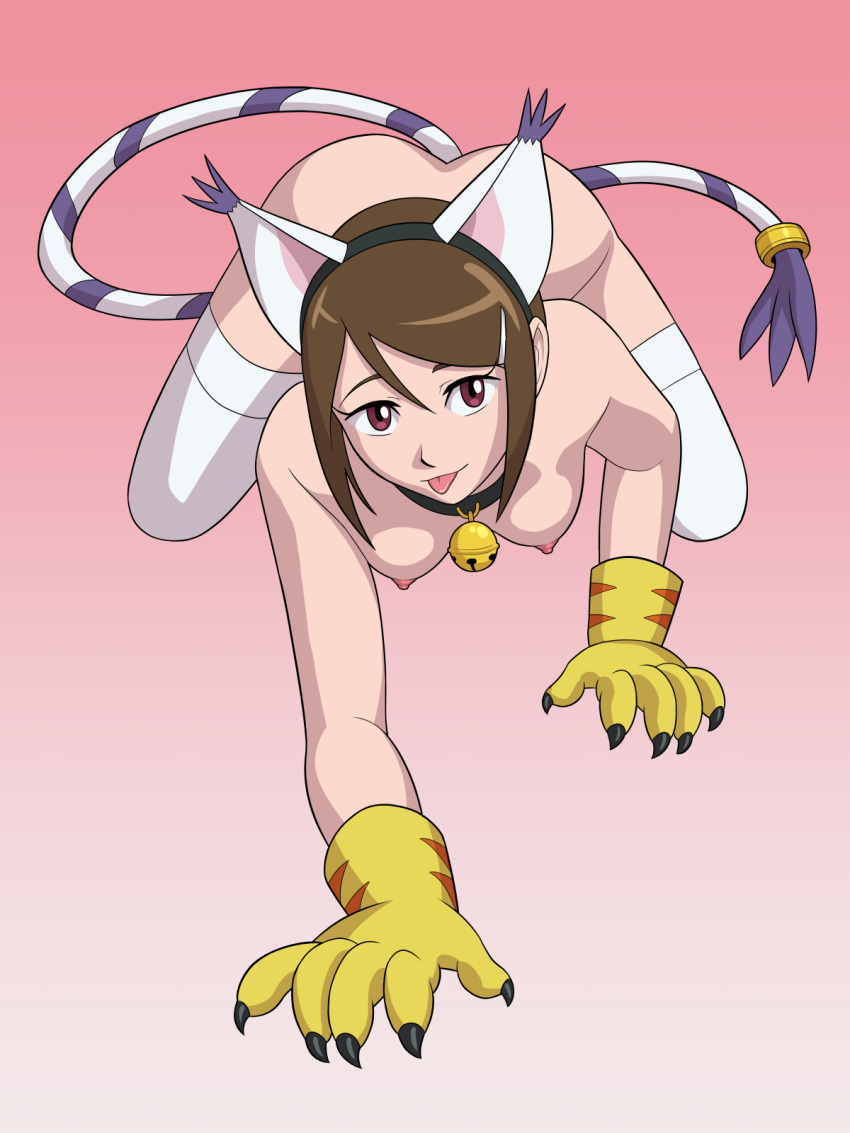 1girls all_fours breasts cat_ears collar cosplay digimon digimon_(cosplay) female female_only femsub gatomon gatomon_(cosplay) hikari_yagami human lingerie nipples petplay small_breasts solo stockings submissive submissive_female tail tail_plug thighhighs tongue tongue_out