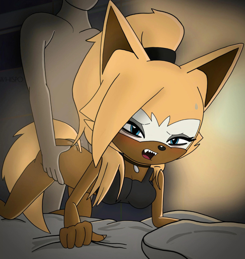 Mobian (Species) Rule 34 Image