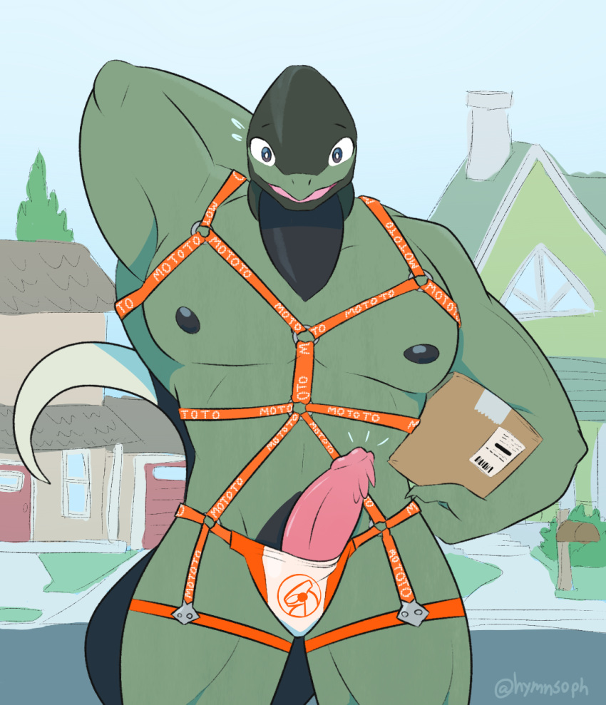 anthro box building bulge clothing container cyclizar delivery_(commerce) delivery_employee erection generation_9_pokemon genitals green_body green_scales hand_behind_head harness harness_only hi_res holding_box holding_container holding_object house jockstrap looking_at_viewer male male_only mostly_nude muscular muscular_anthro muscular_male nintendo nipples outside penis pokémon_(species) pokemon pokemon_(species) postal_delivery reptile scales scalie solo solo_male sophymn standing underwear video_games