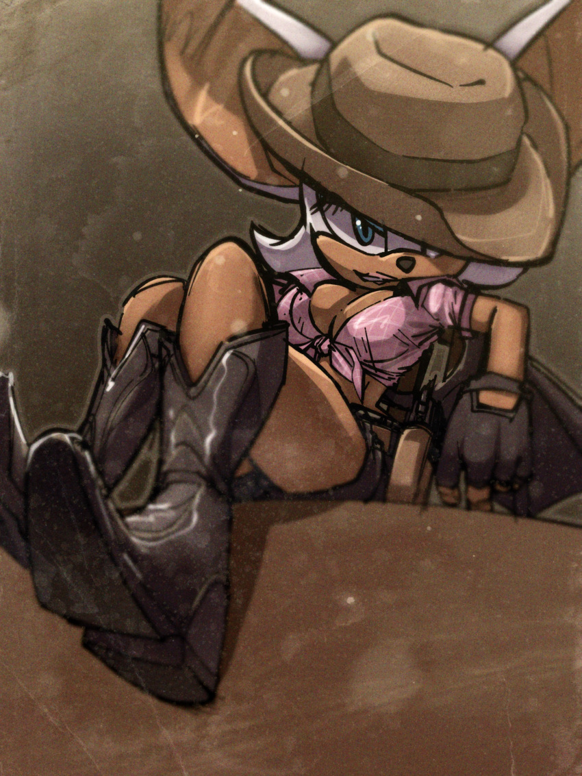 boots breasts cowboy cowboy_hat legs pink_shirt rouge_the_bat sitting sonic_(series) sonic_the_hedgehog_(series) tighesammy