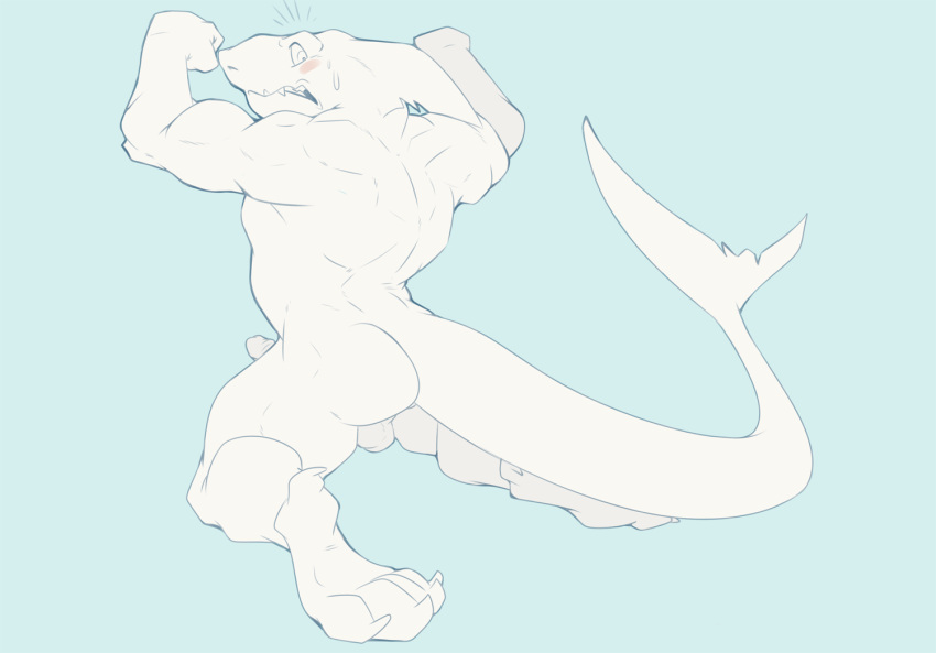 5_toes anthro ass balls blue_background blush claws dragondrawer erection feet fin fish genitals head_fin humanoid_genitalia humanoid_penis kneeling male male_only marine muscular muscular_anthro muscular_male nude penis shark simple_background solo tail tail_fin teeth toes