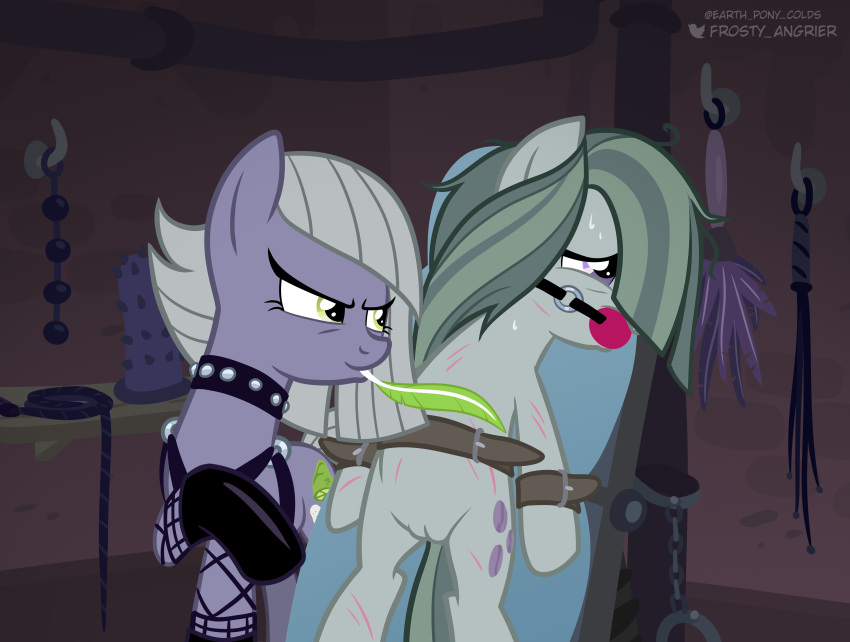 bondage earth_pony_colds feathers gag limestone_pie_(mlp) marble_pie_(mlp) my_little_pony on_model scars tickling tied_up