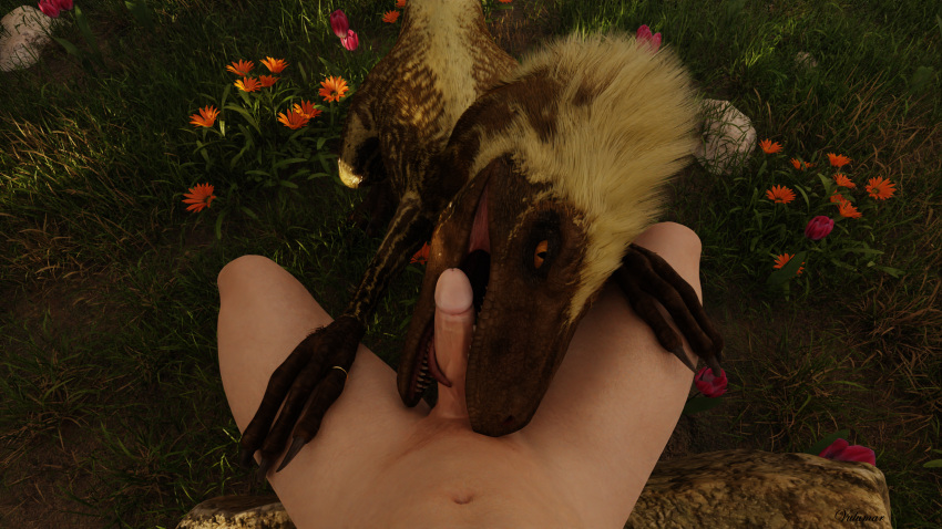 3d bestiality blender_(software) claws crouching deinonychus dinosaur dromaeosaurid duo feathers fellatio female feral first_person_view flower genitals hi_res human human_on_feral human_penetrating interspecies licking light-skinned_male looking_at_viewer male male/female mammal meadow molly_(vulumar) nude oral paws_on_thighs penile penis penis_lick plant reptile ring scalie sex sitting teeth teeth_showing theropod tongue tongue_out vulumar zoophilia