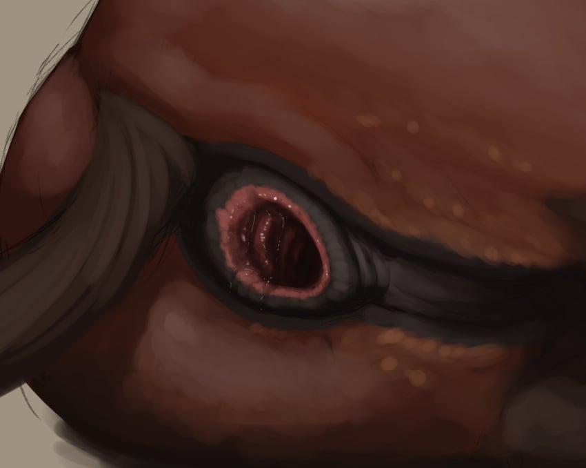 anal_juice anthro anus avian beak bodily_fluids brown_body brown_eyes brown_fur brown_tail close-up feral fur gaping gaping_anus gryphon hi_res kazzyboii looking_at_viewer looking_back lying male mythological_avian mythology on_side perineum puffy_anus solo